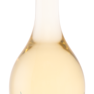 Les Astérides blanc