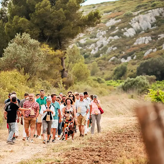 visite groupe à travers le domaine