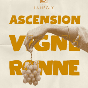 Ascension Vigneronne