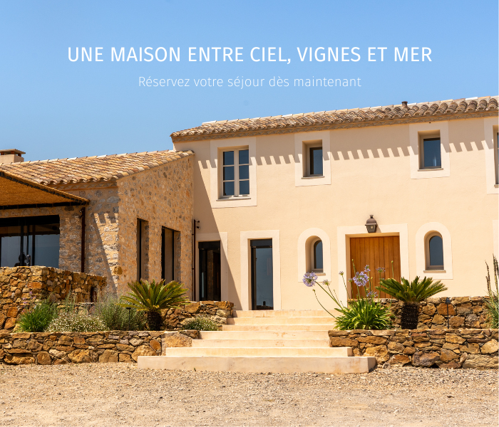 Pop-up - Maison LN site internet